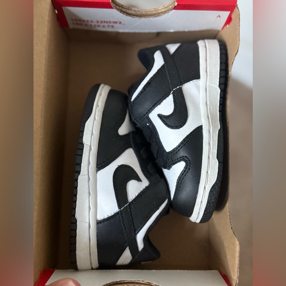 Nike dunk low toddlers